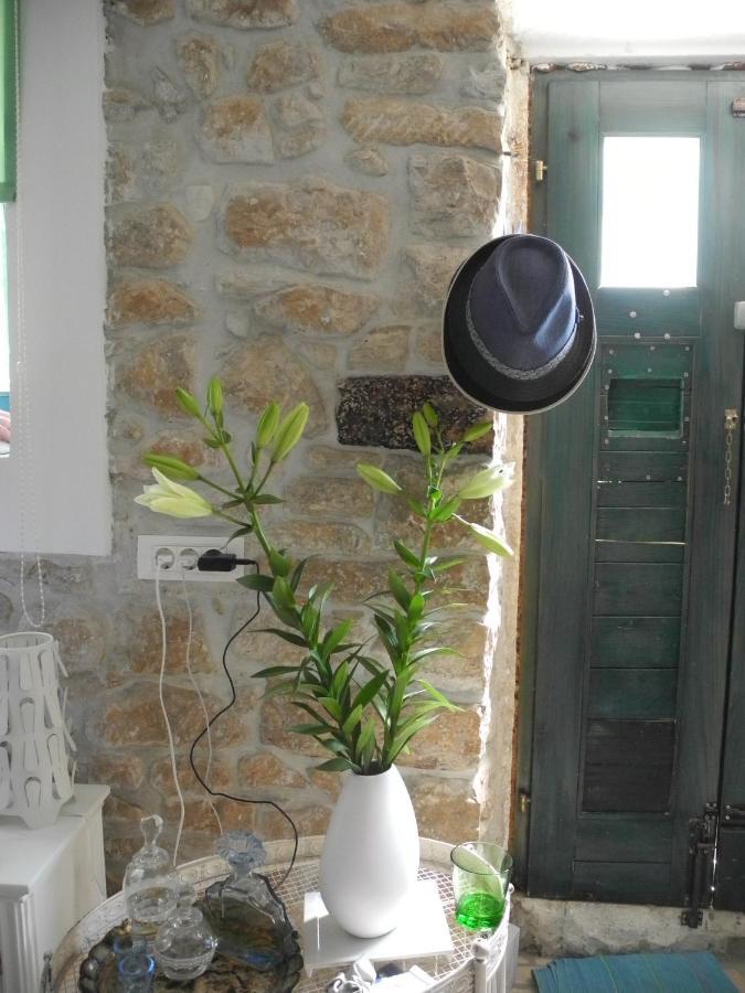 Apartament Steinhaus Mit Terrasse Rovinj Zewnętrze zdjęcie